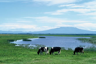 濤沸湖